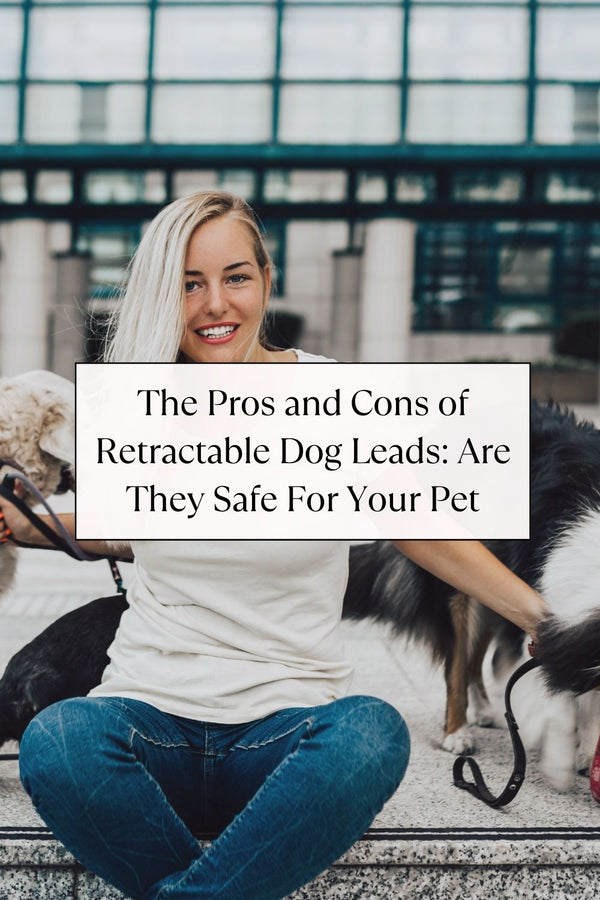 Pros and Cons of retractable Dog Leads