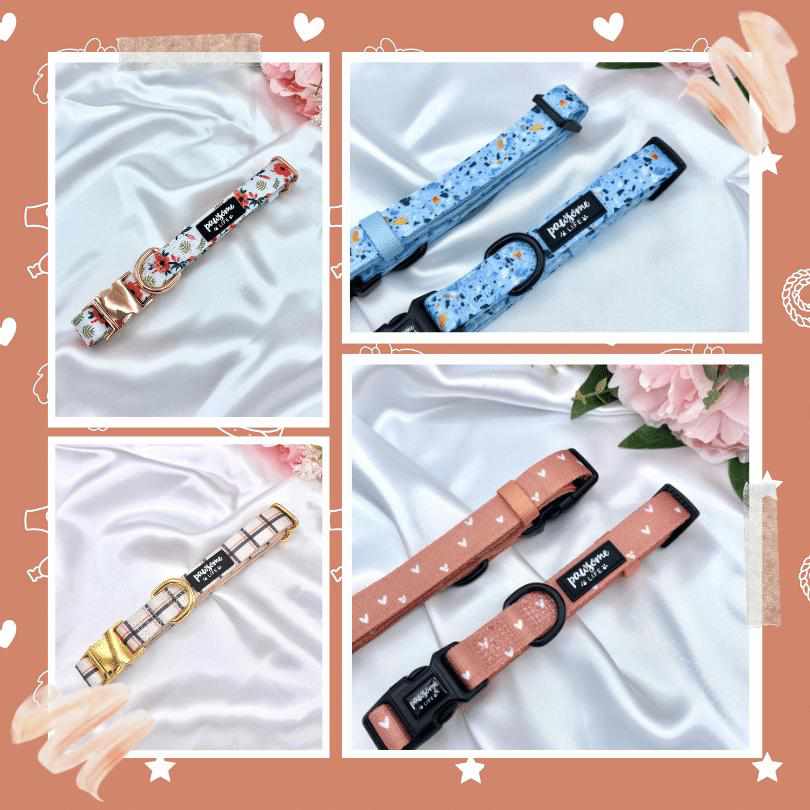 Dog Collars - Pawsome Life