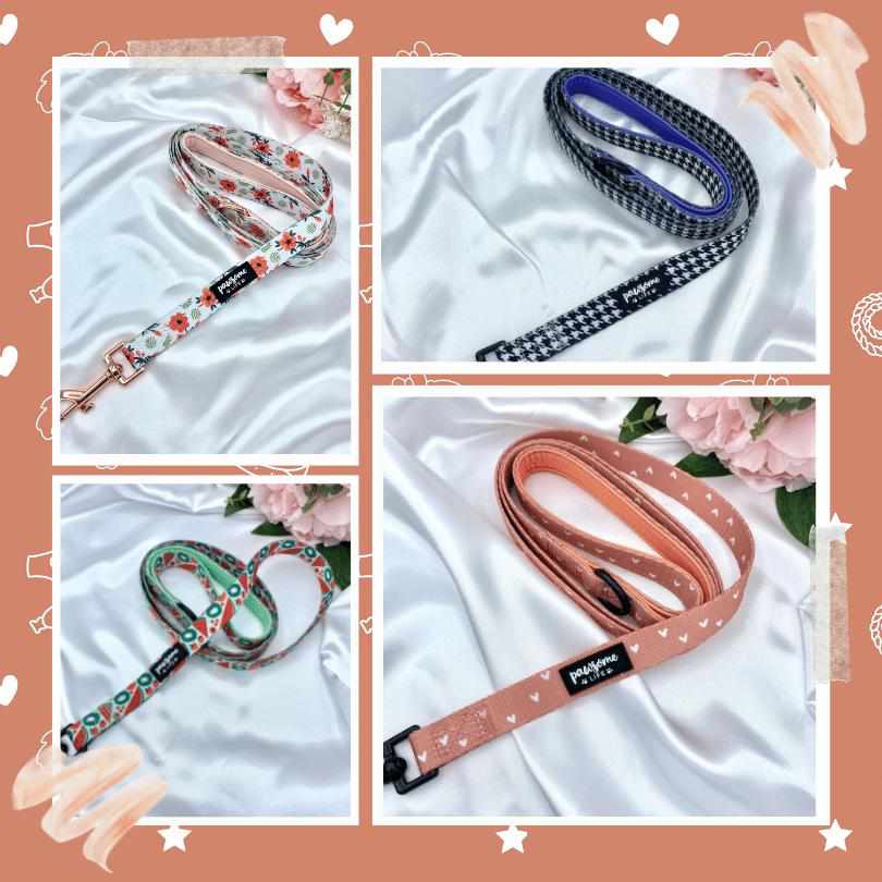 Leads - Pawsome Life