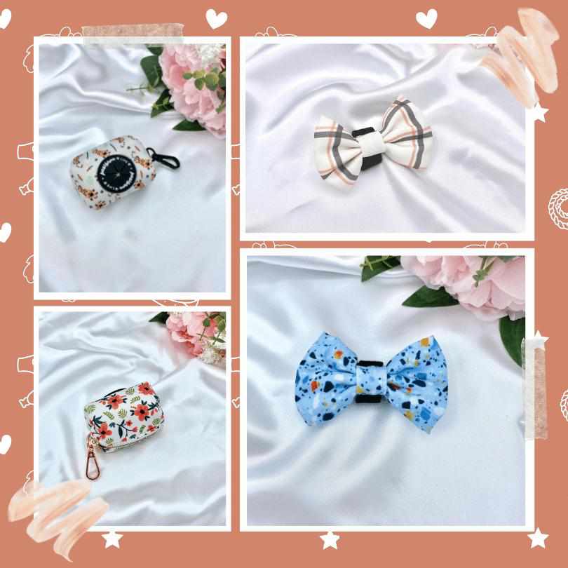 Accessories - Pawsome Life