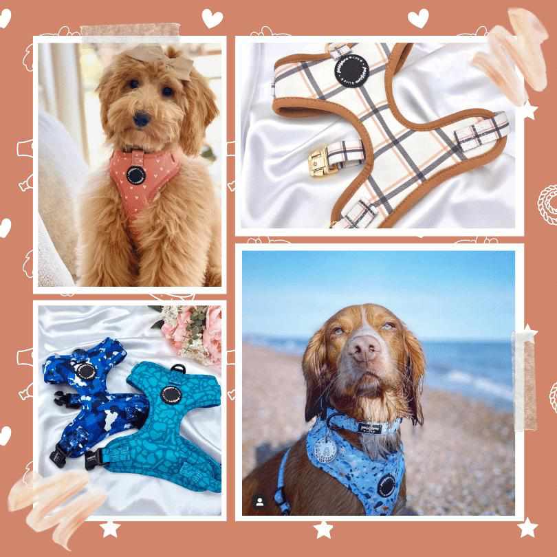 Harnesses - Pawsome Life