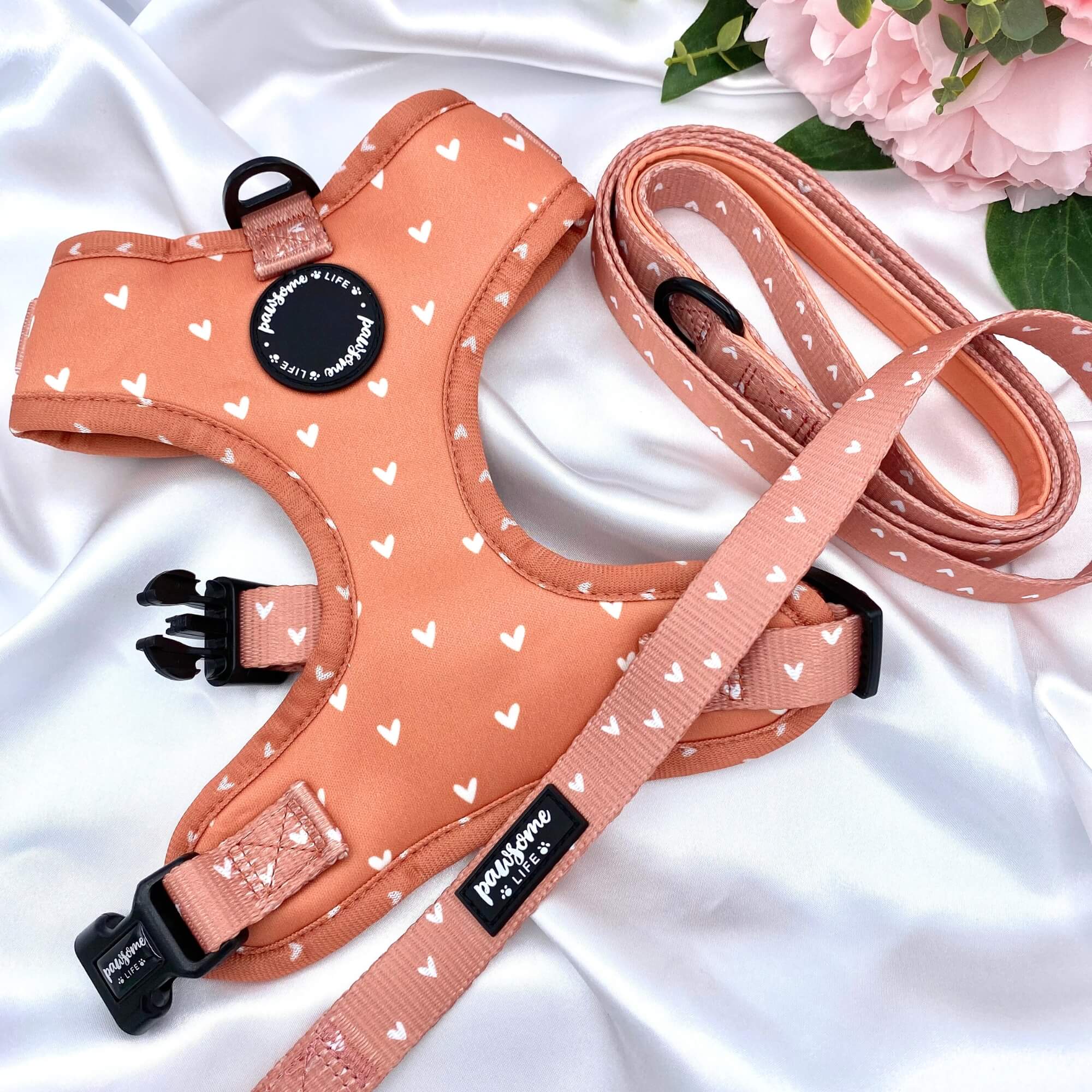 Louis Pup Leather Harness and Leash Set, Paws Circle