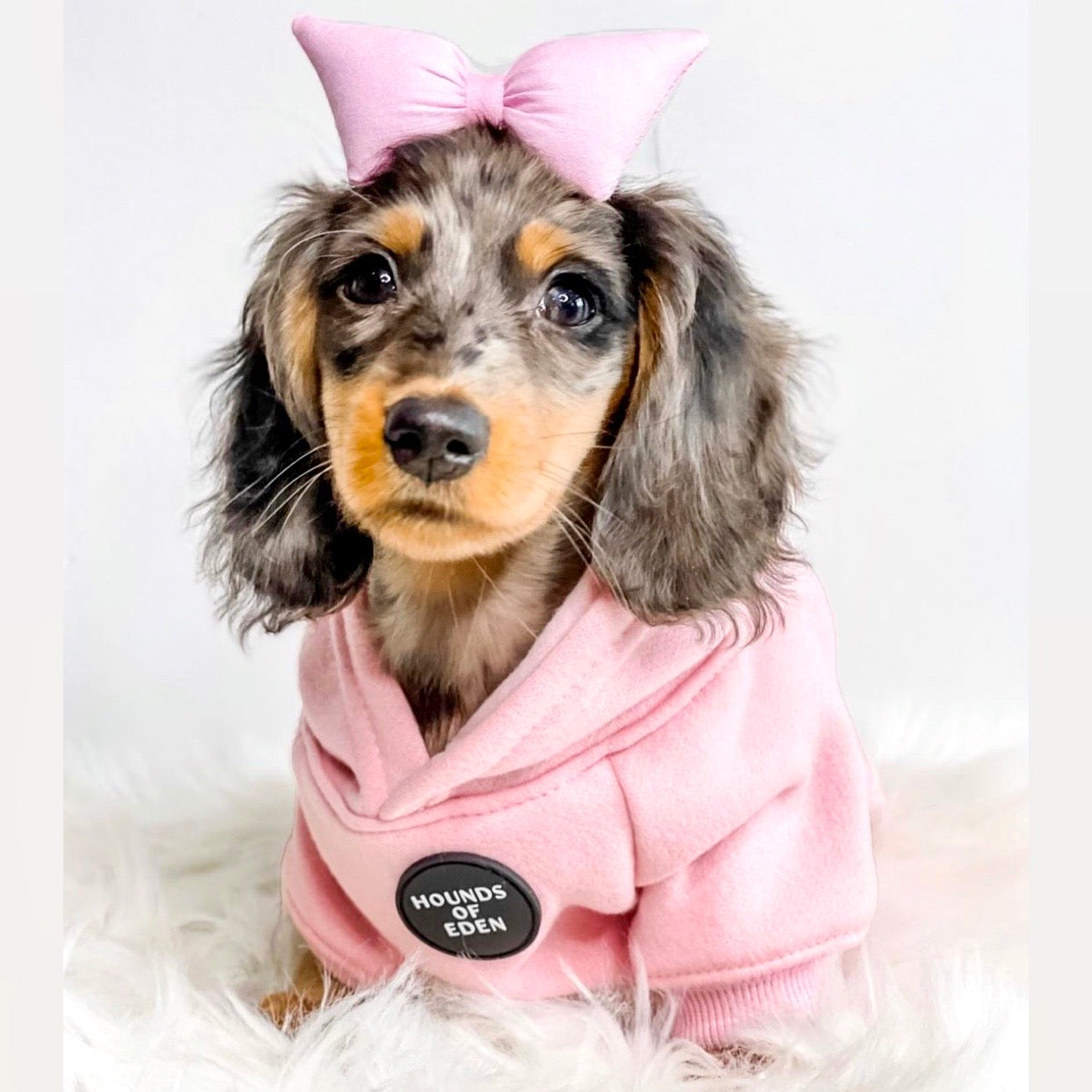 Dog Hoodie - Charcoal Grey
