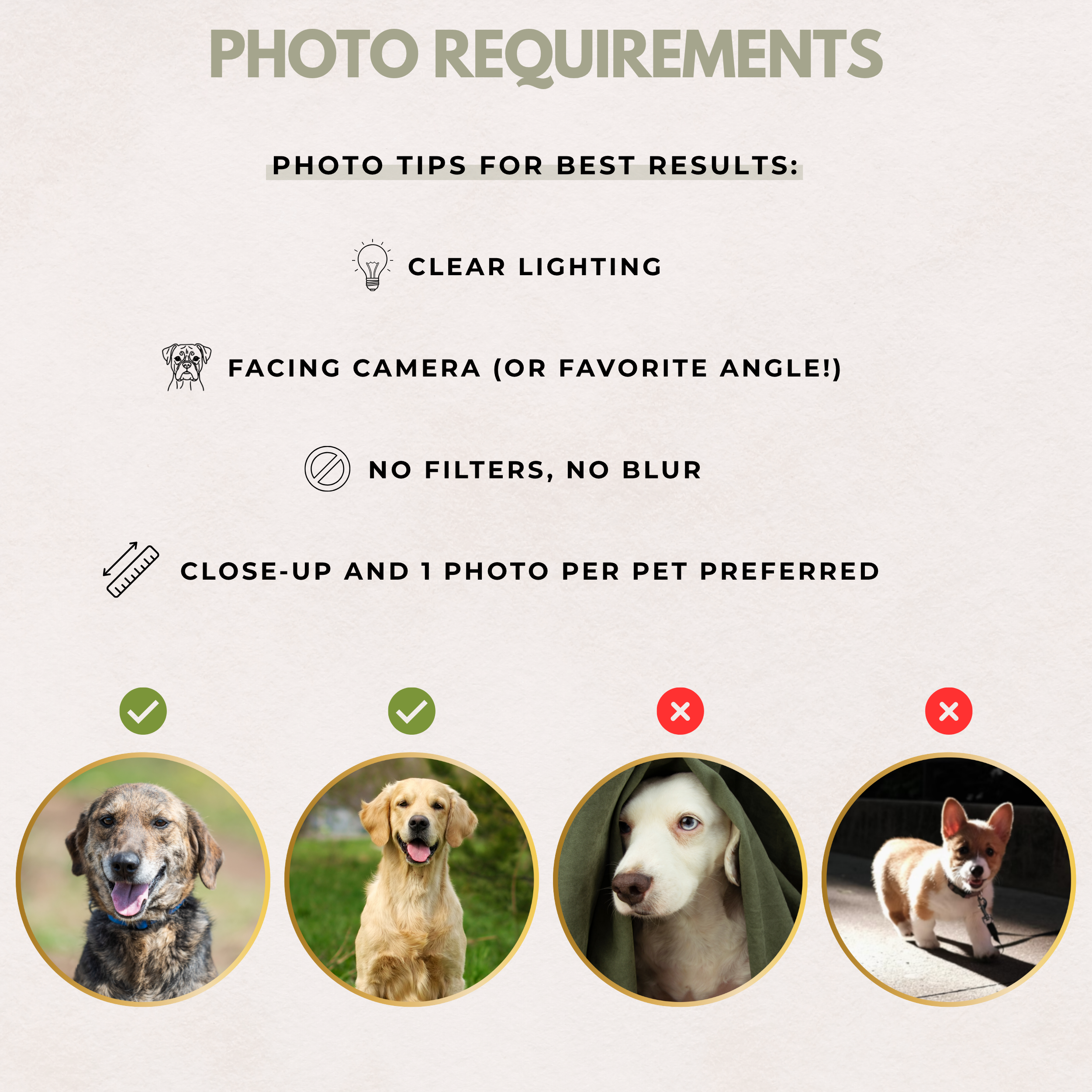 Guidelines for pet photo requirements with examples and icons.