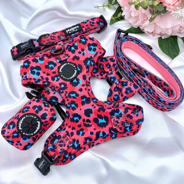 Trendy dog leash featuring a vibrant pink leopard pattern, making a statement during outings