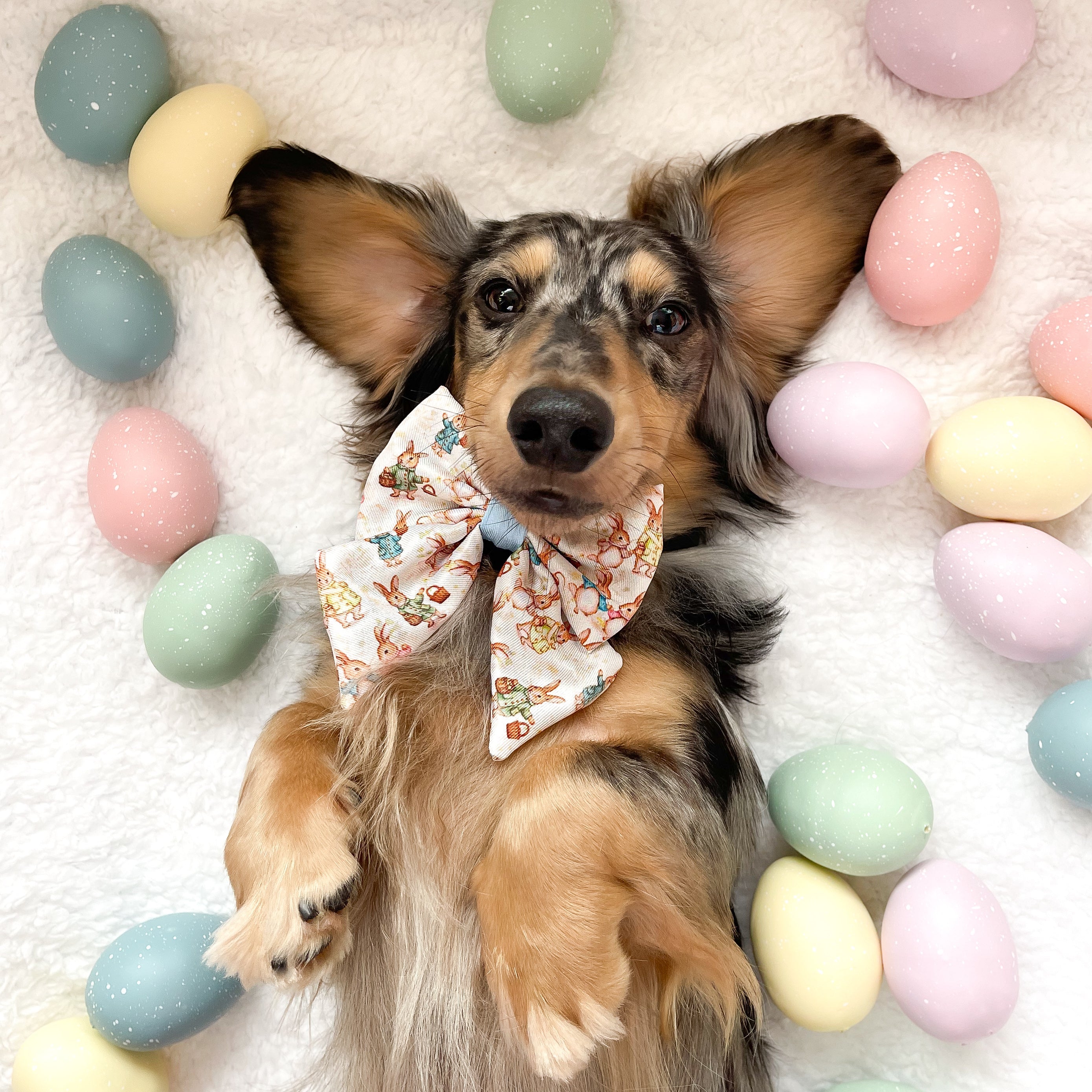 Bunny Tales - Blue, Dog Harness (XXS-XS)
