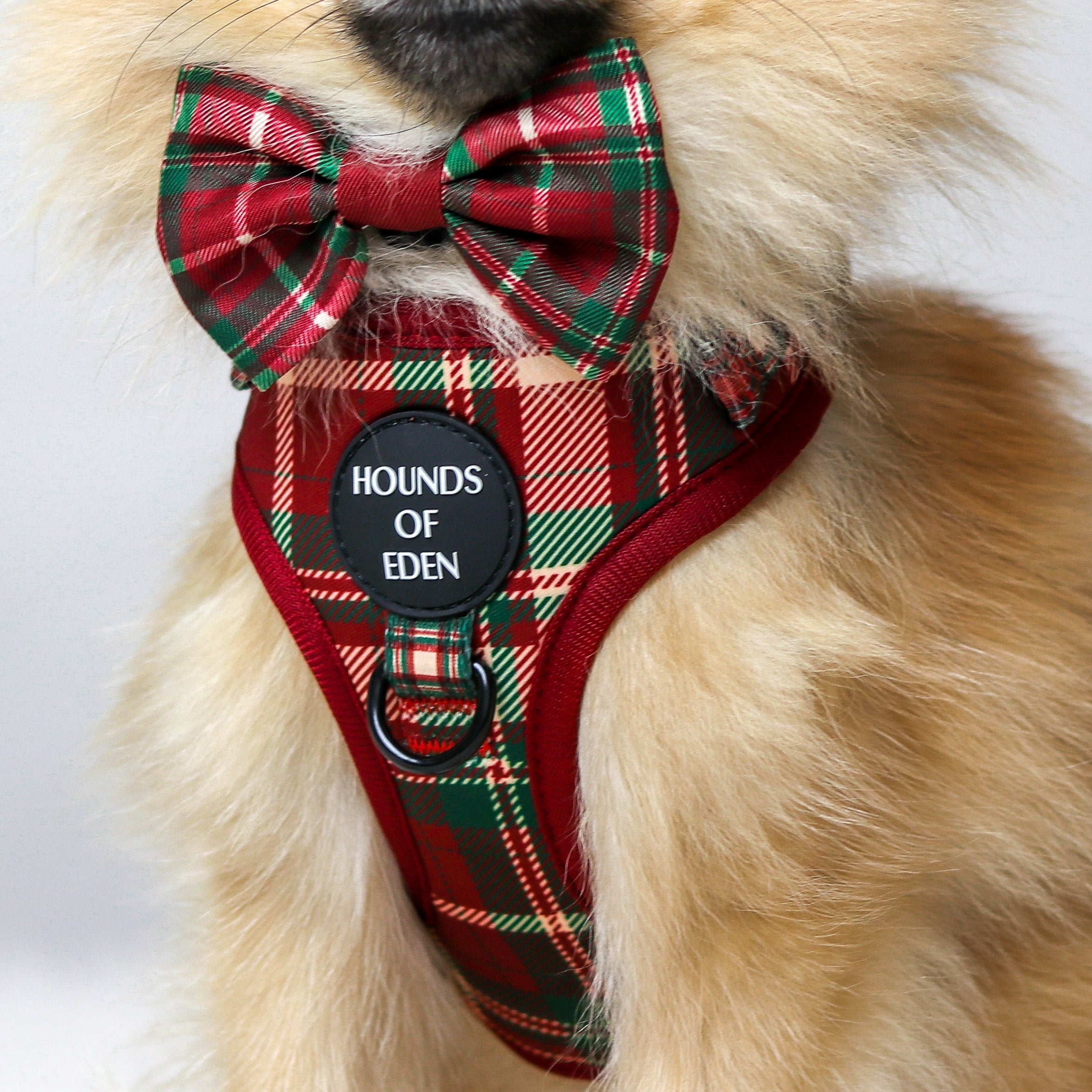 Tartan Me Up - Red & Cream Tartan Design Dog Bow Tie