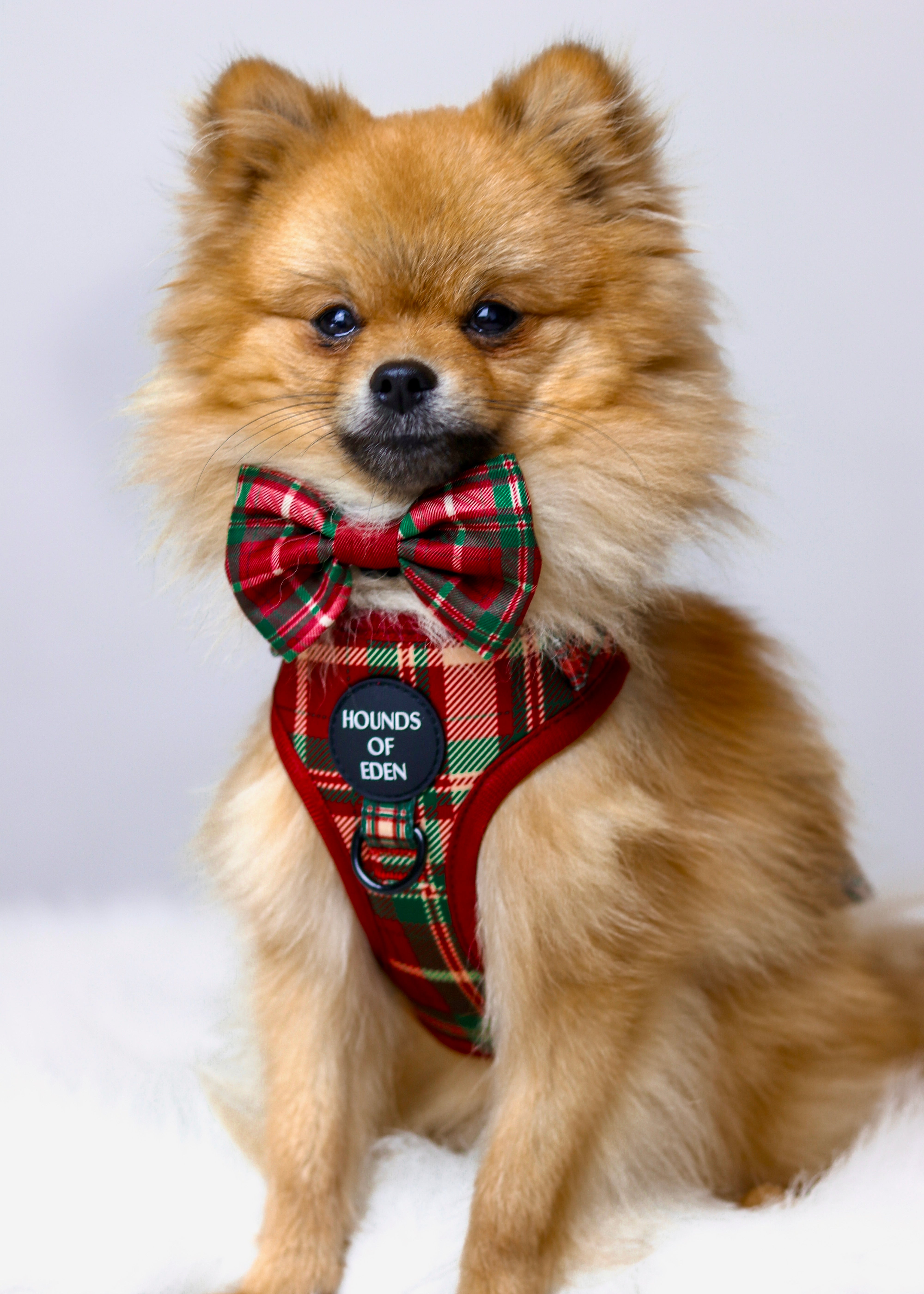 Tartan MeĀ Up - Red & Cream Tartan Design Dog Harness