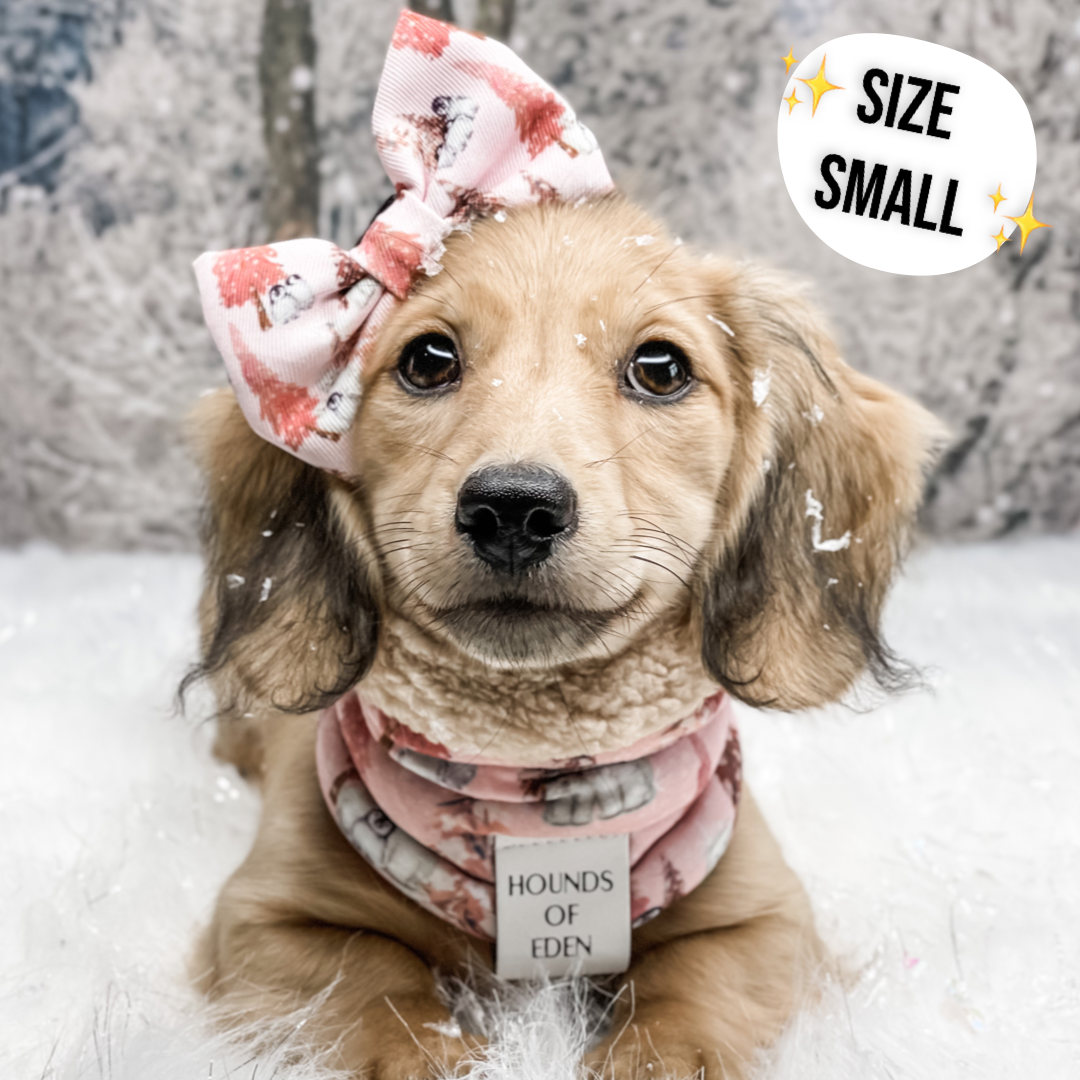 Florentina Dog Snood