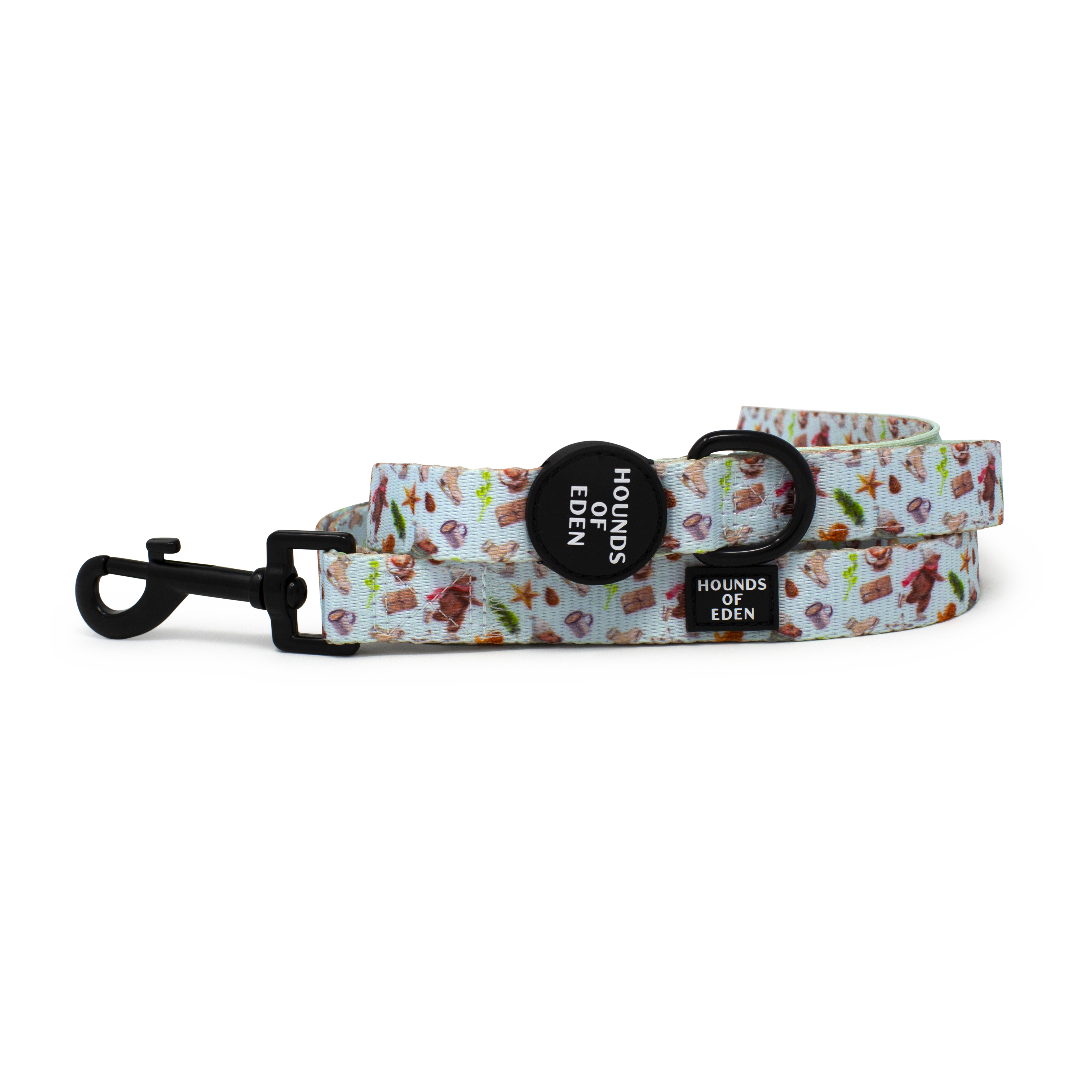 Teddy it's Cold Outside Dog Collar