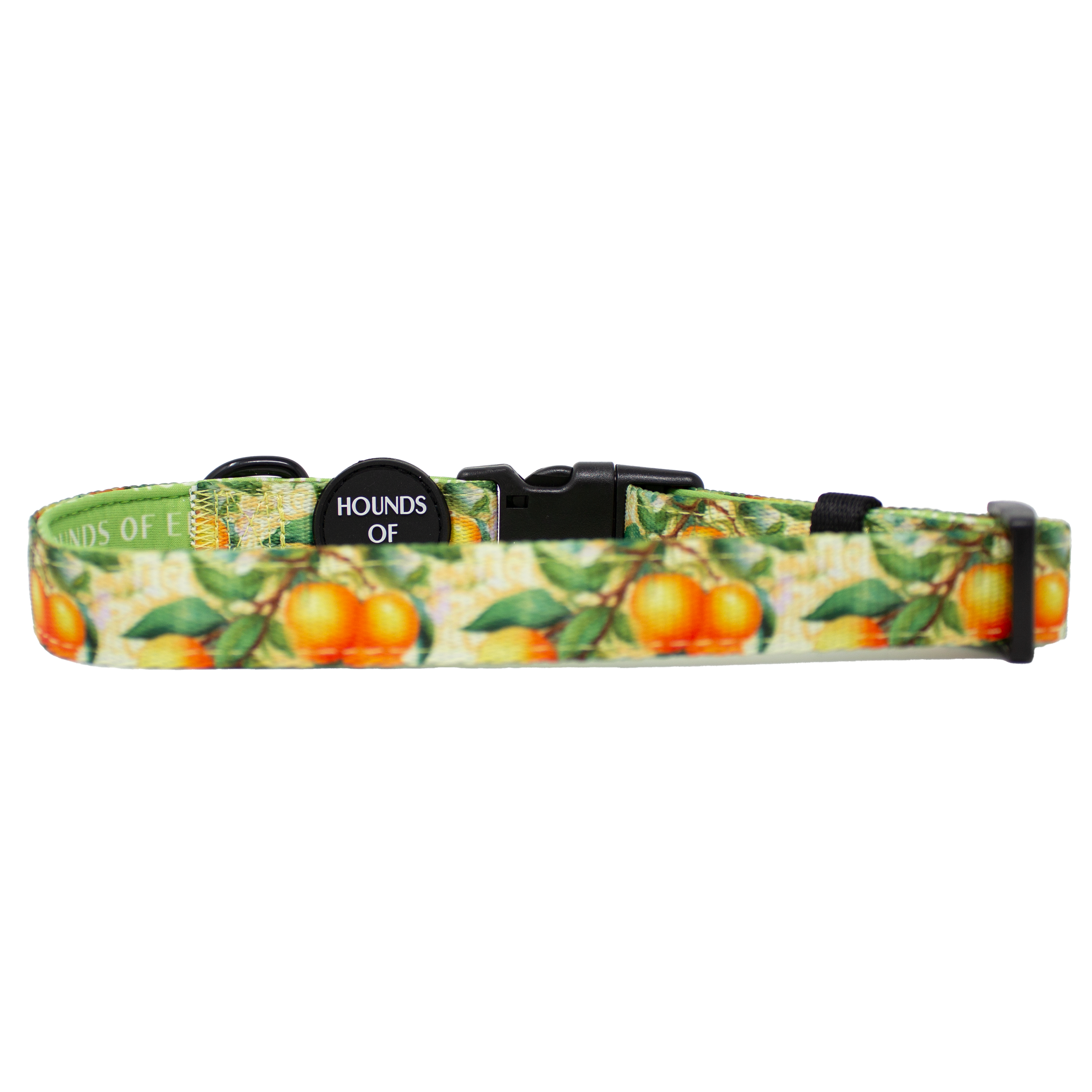 Simply the Zest - Oranges Dog Harness