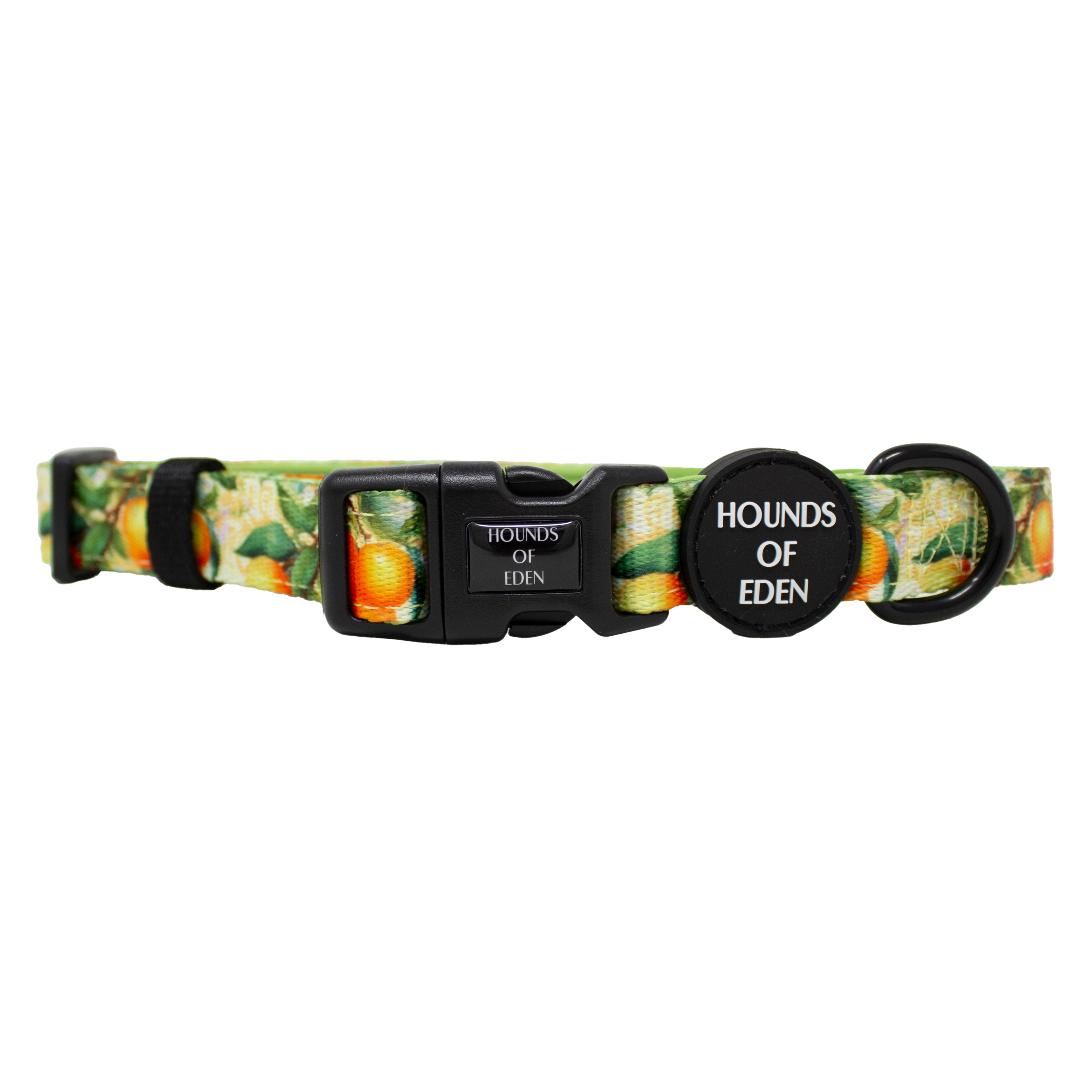 Simply the Zest - Oranges Dog Harness