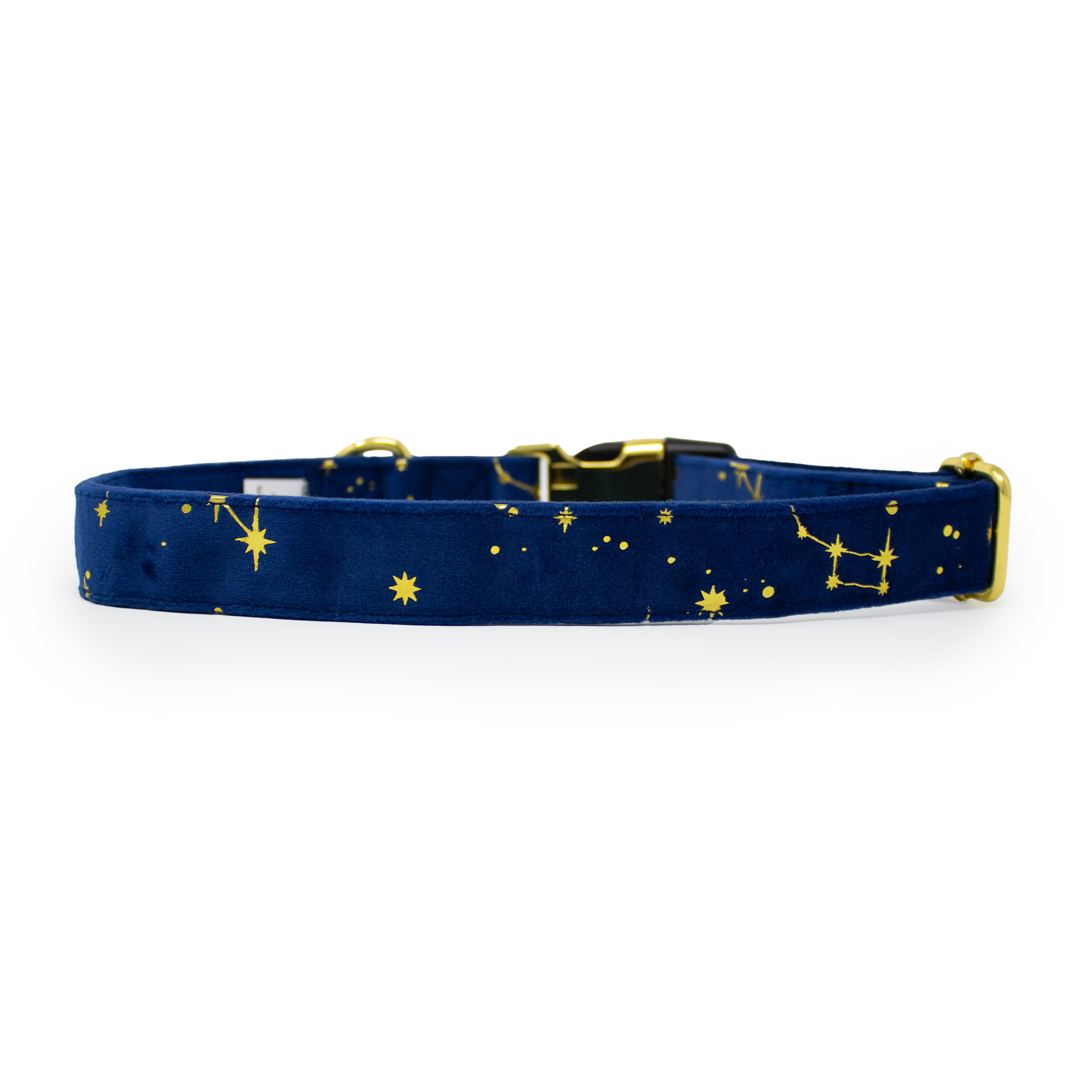 Sapphire Stars Velvet Harness