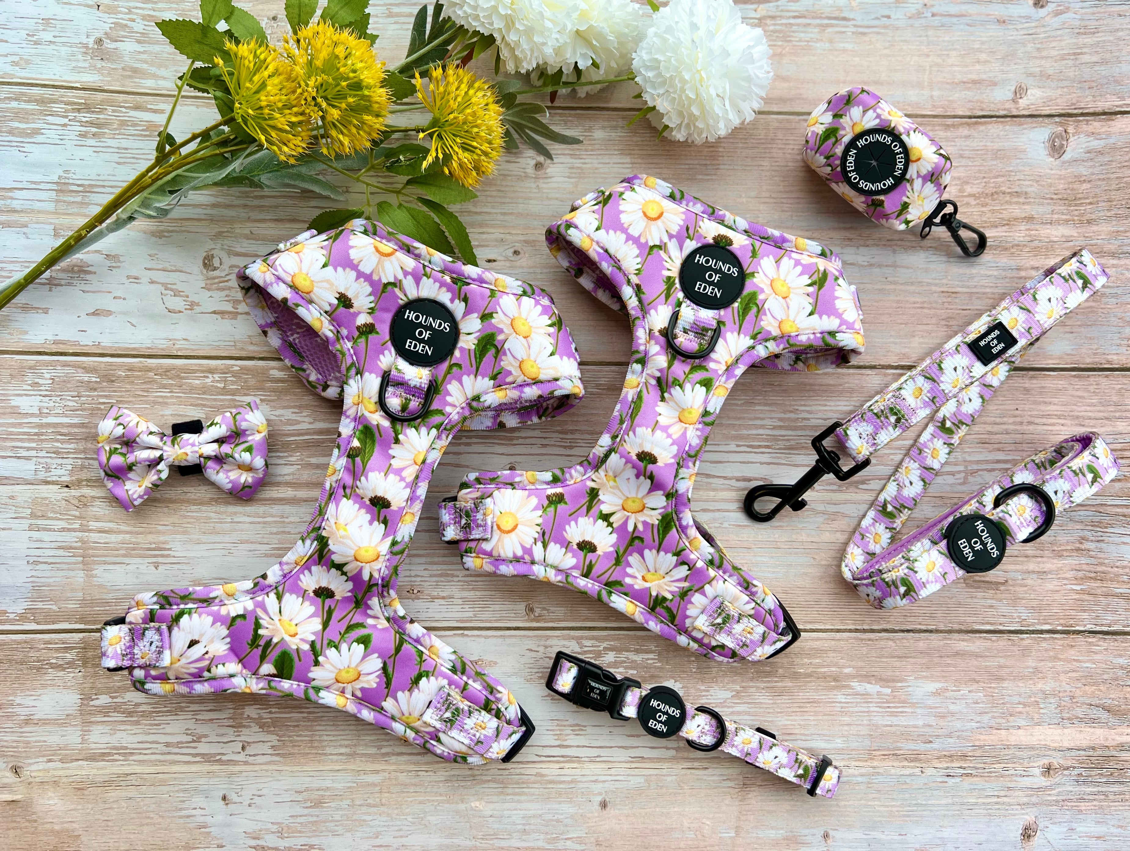 Daisy Dreams Design Dog Harness