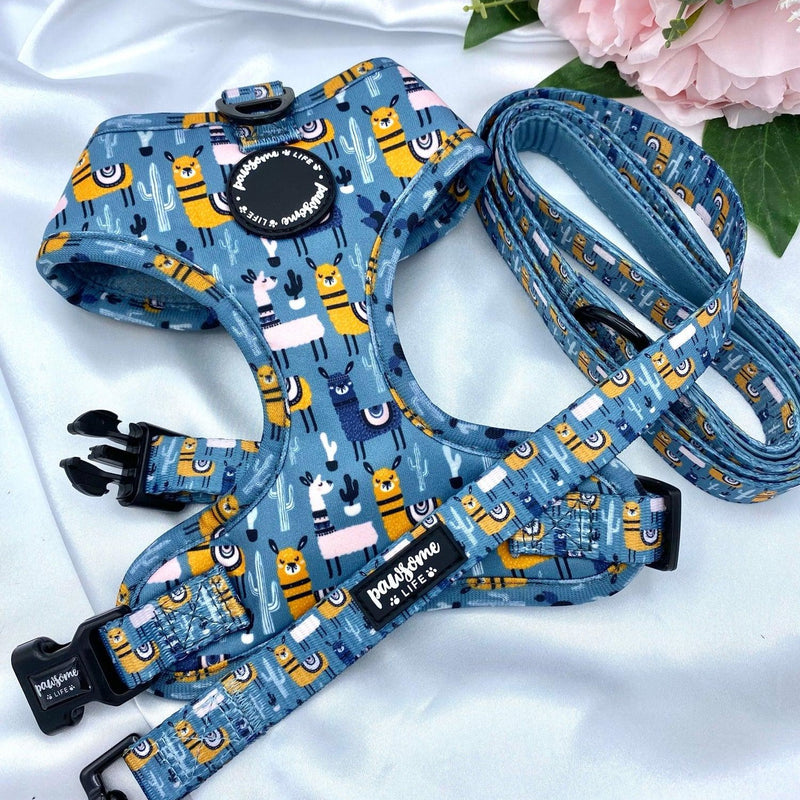 No-pull dog harness featuring an adorable llama pattern, ideal for active pets