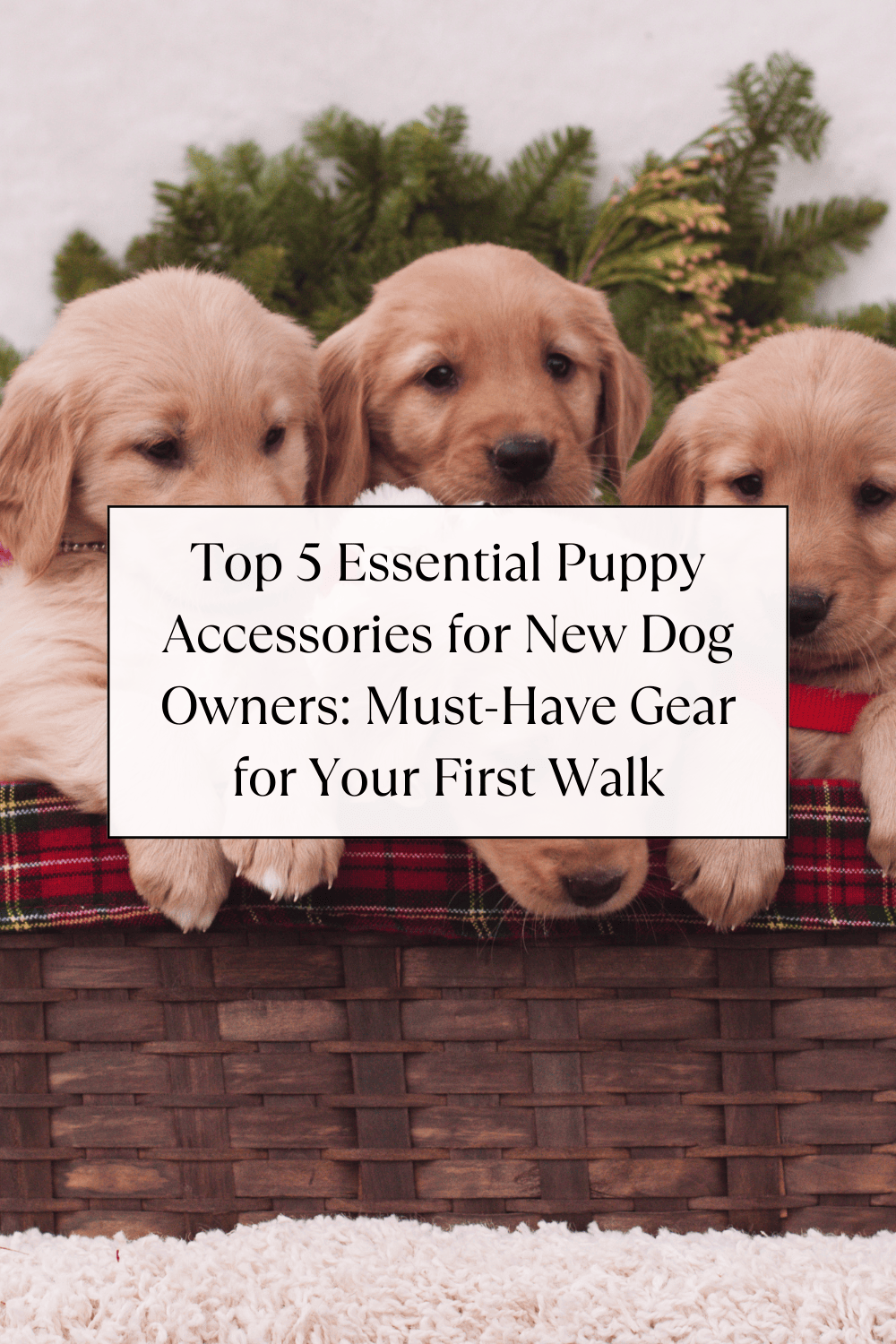 Top 5 Essential Puppy Accessories for New Dog Owners: Must-Have Gear for Your First Walk