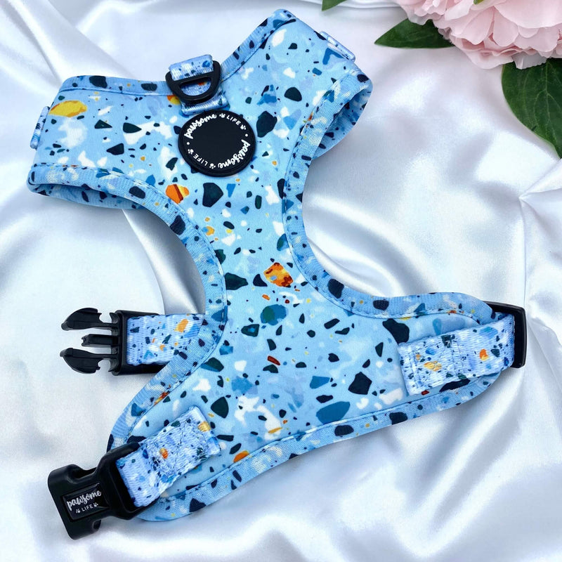 Stylish dog harness with a trendy blue terrazzo design, perfect for fashionable walks