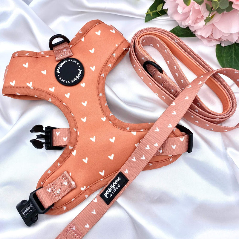 Designer dog leash featuring a vibrant orange hearts pattern and a boho cinnamon twist, secure and stylish