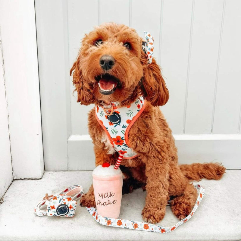 Fashion-forward dog collar showcasing a unique floral design, a stylish accessory for your pet