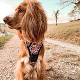 Designer dog harness featuring an orange leopard pattern, adjustable for the perfect fit