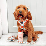 Charming dog bow adorned with a beautiful floral print, enhancing your pet's cuteness