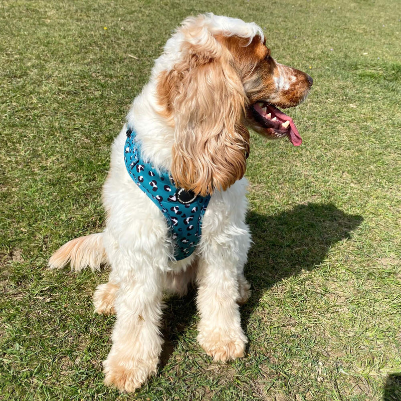 Fashionable dog poop bag dispenser featuring a vibrant green leopard design