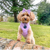 Fashionable dog harness adorned with a playful pink, lilac, and purple design, ideal for daily walks
