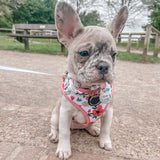 Cute dog harness in a floral pattern, suitable for various occasions and dog breeds