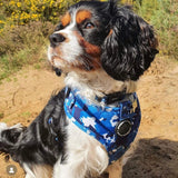 Fashionable dog bow tie showcasing a striking blue camouflage pattern and convenient velcro fastening