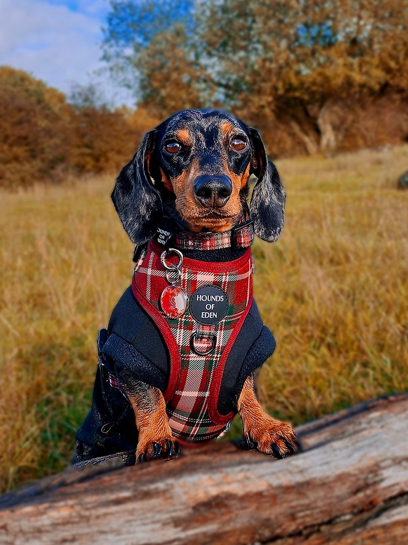 Tartan Me Up - Red & Cream Tartan Dog Snood