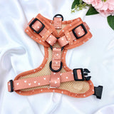 Designer adjustable puppy harness adorned with a boho cinnamon theme and orange hearts, perfect for your stylish pup