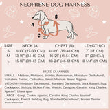 Size chart for no-pull neoprene dog harness, detailing suitable sizes for various dog breeds from small to large