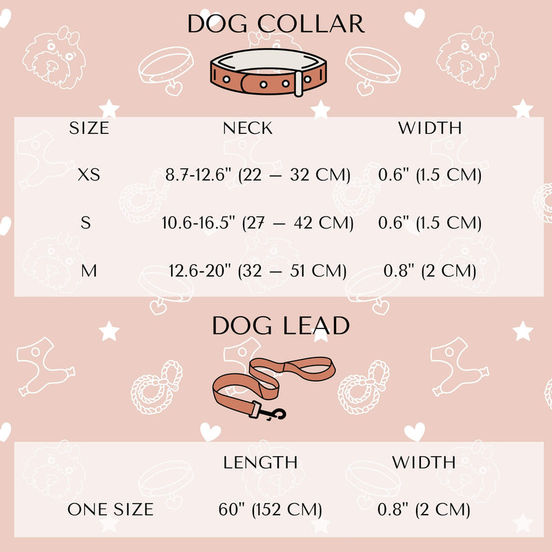 Chic and practical dog leash with a modern floral design, perfect for everyday use