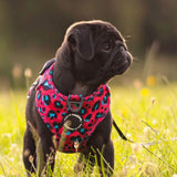 Chic and practical dog harness with a modern pink leopard pattern, suitable for everyday wear