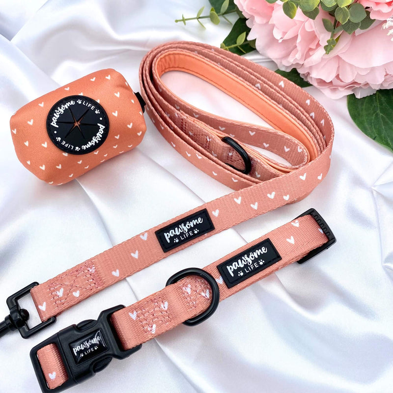 Trendy girl dog collar with a boho cinnamon design, orange hearts, and quick-release clasp for convenient use
