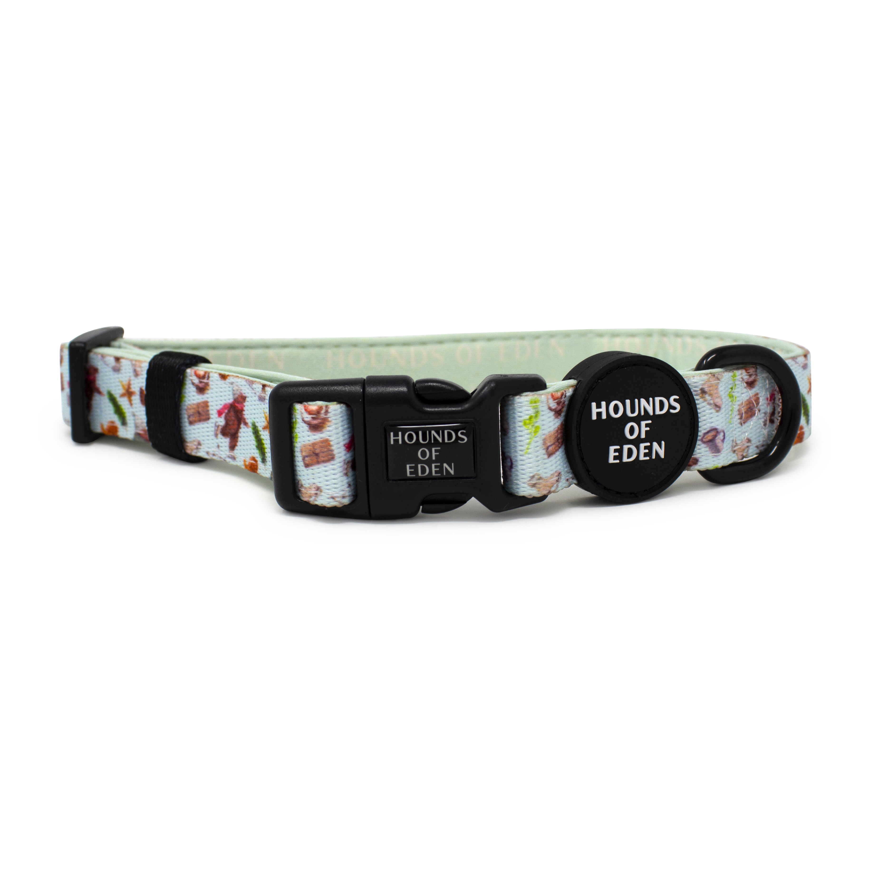 Teddy it's Cold Outside Dog Collar