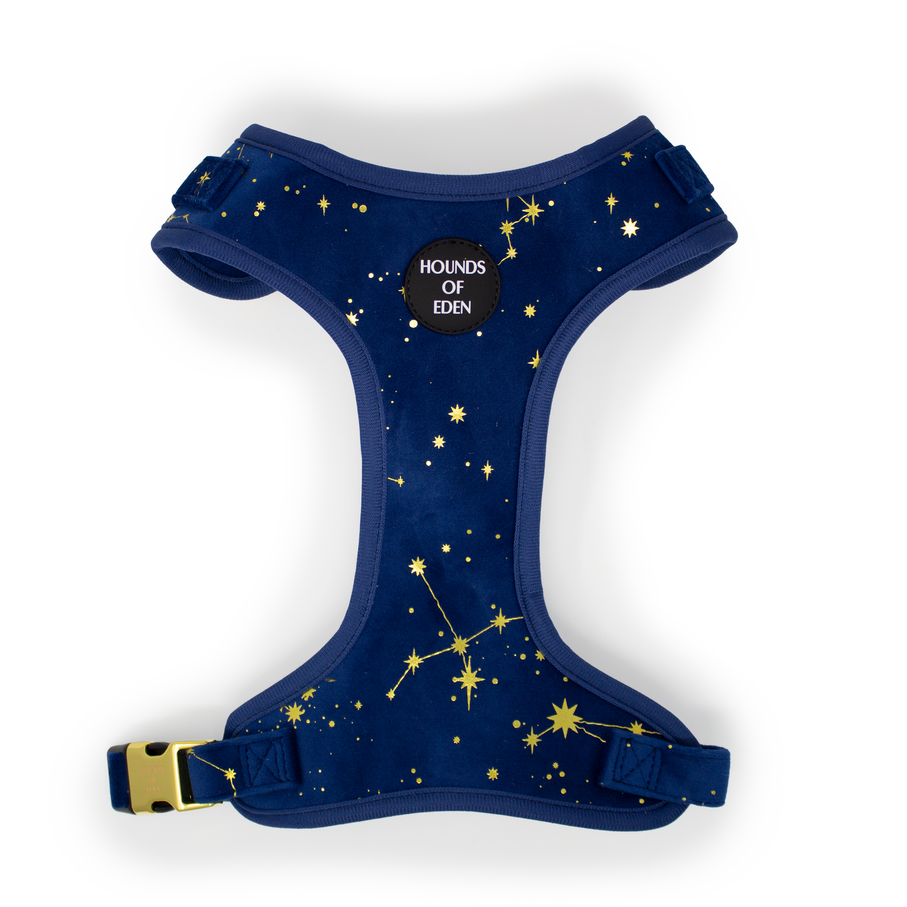 Sapphire Stars Velvet Harness
