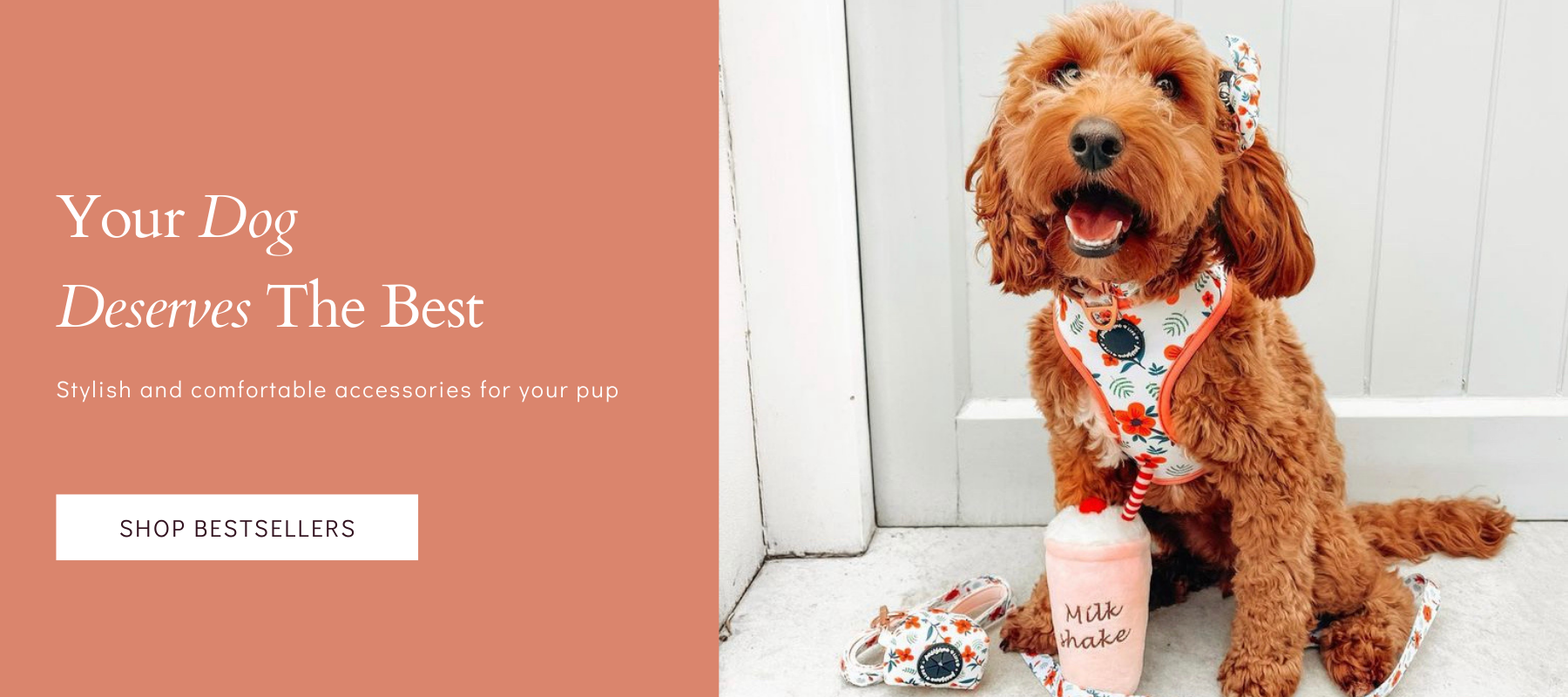 Designer Dog Harnesses Stylish Dog Collars and Leads Pawsome Life