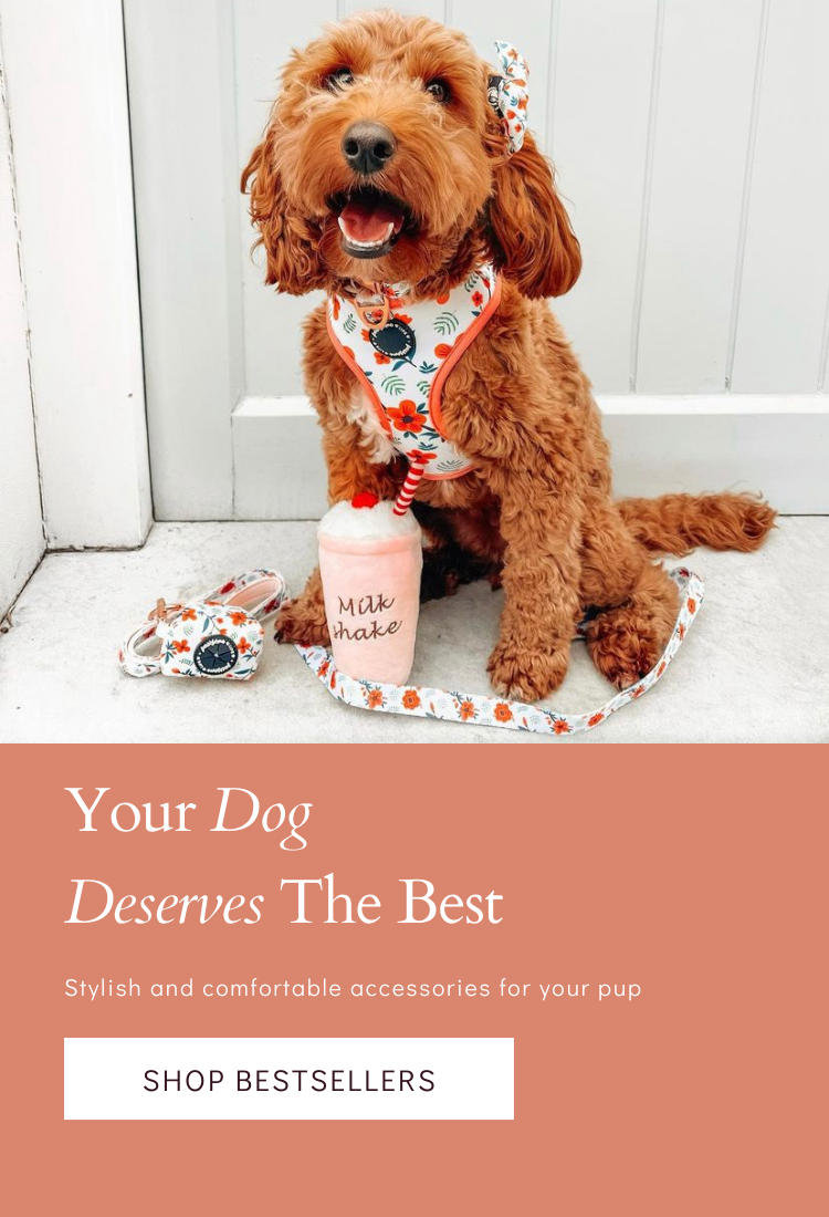 Cute dog harnesses top for small dogs