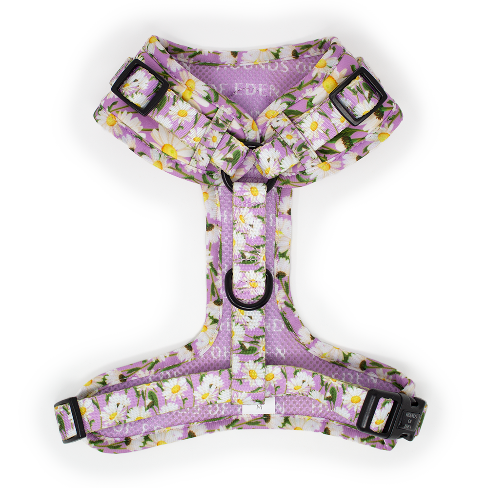 Daisy Dreams Design Dog Collar