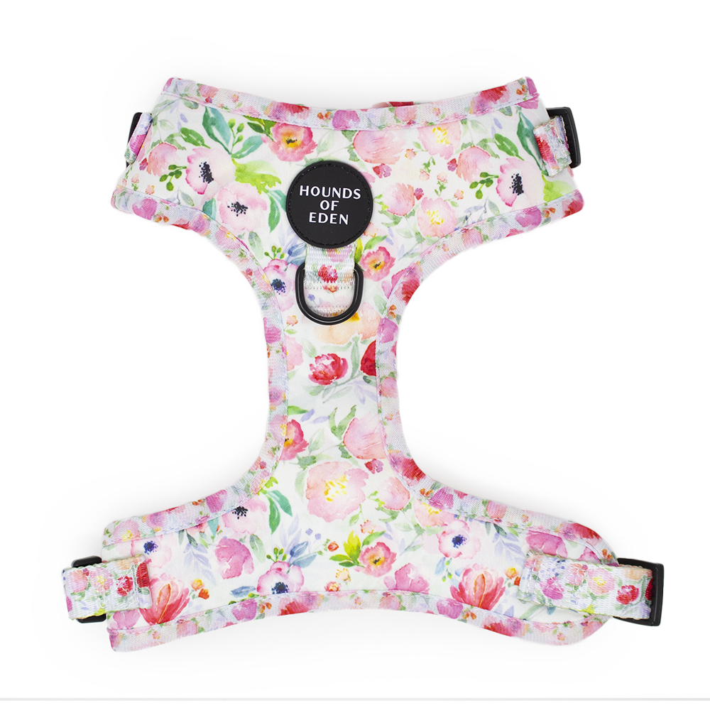Ziggy's Secret Garden Design Dog Collar