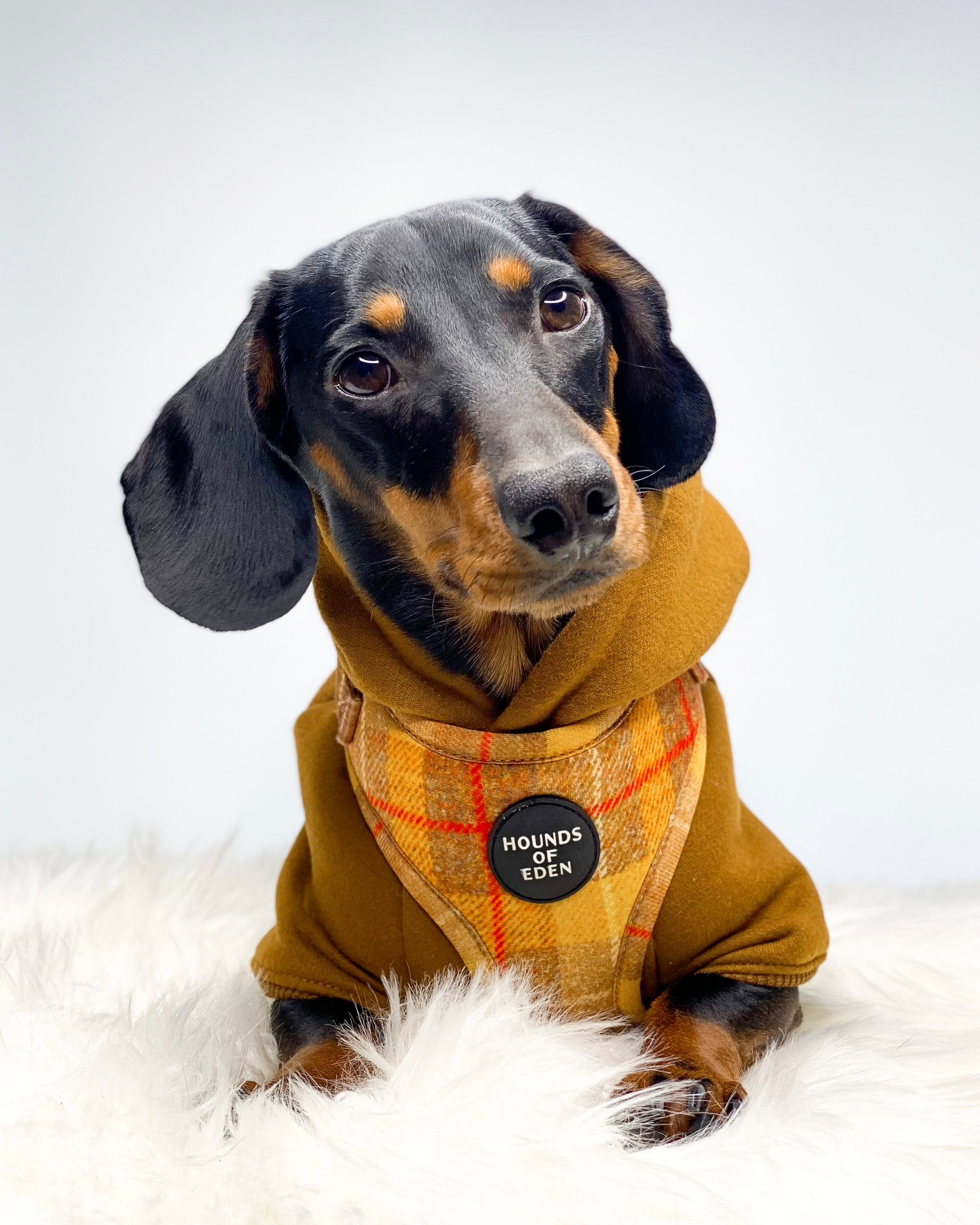 Dog Hoodie - Charcoal Grey