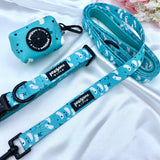 Adjustable cute dog collars uk with designer patterns for puppy and small to medium dogs featuring quick release buckle