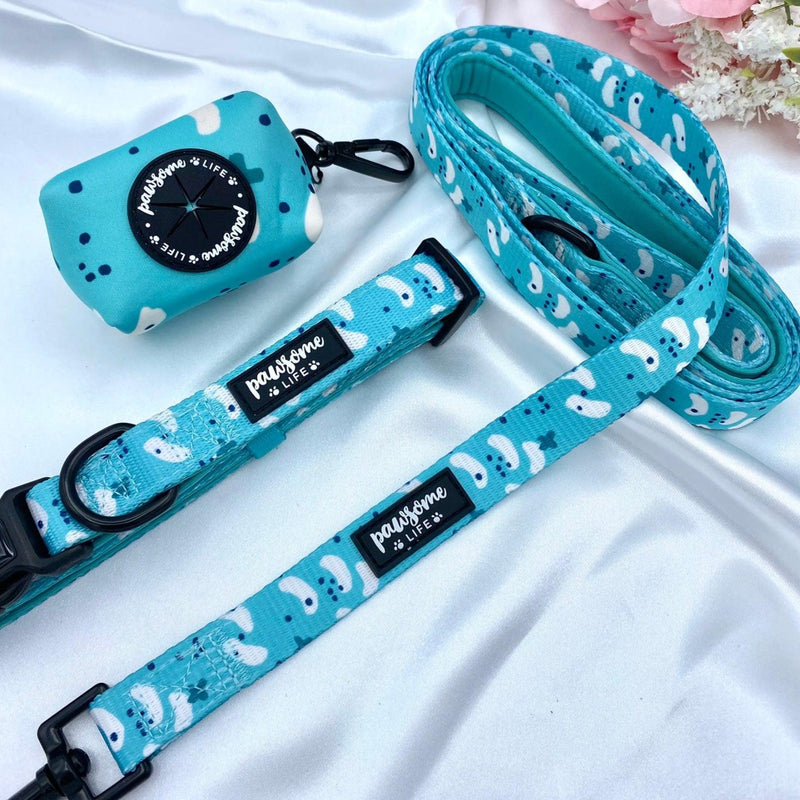 Cute dog leads and collars sets up with designer patters