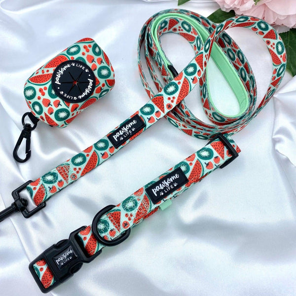 Designer dog leash with an eye-catching watermelon print, adding a touch of whimsy to your pet's accessories