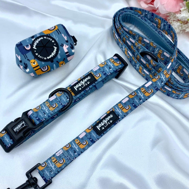 Cute dog leads and collars sets up with designer patters