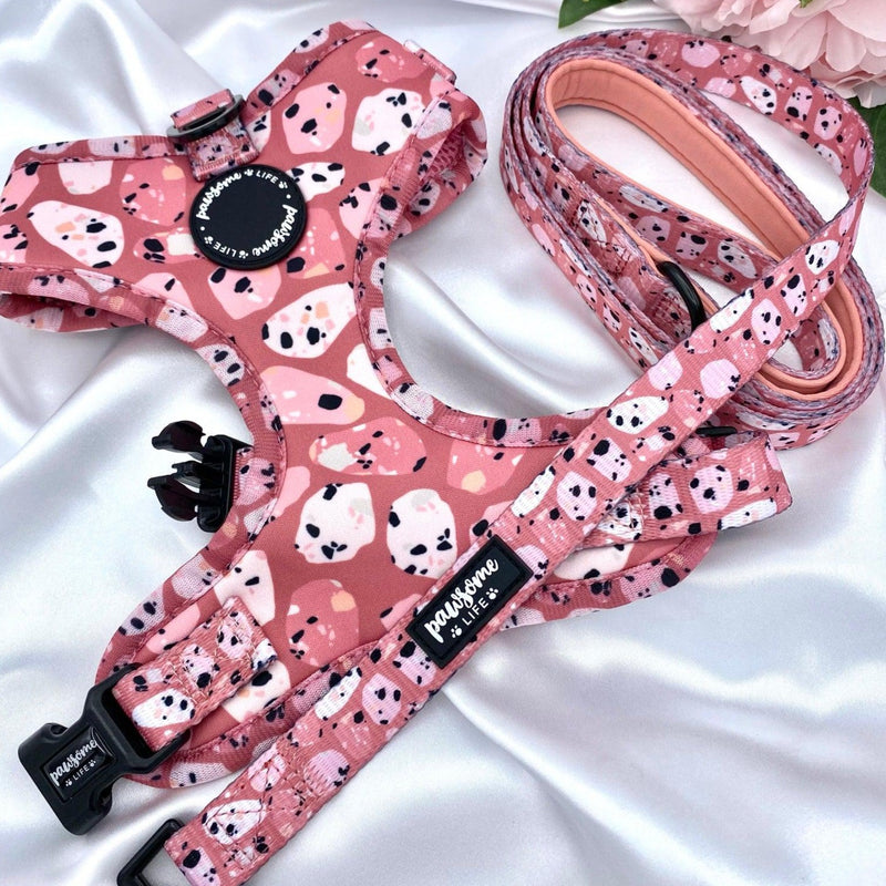 Cute dog leads and collars sets up with designer patters