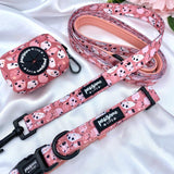 Adjustable cute dog collars uk with designer patterns for puppy and small to medium dogs featuring quick release buckle