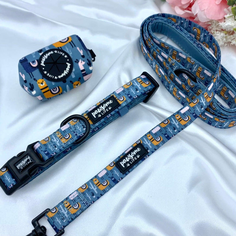 Adjustable cute dog collars uk with designer patterns for puppy and small to medium dogs featuring quick release buckle