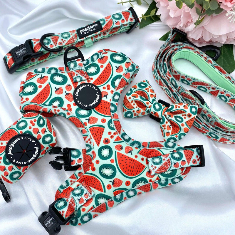 Designer dog bow tie with a unique watermelon print and easy-to-attach velcro strap